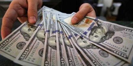 سعر الدولار الاثنين أمام الجنيه المصرى - هرم مصر
