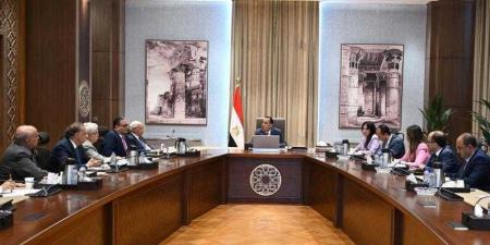 رئيس الوزراء يلتقي أعضاء اللجنة الاستشارية للشئون السياسية - هرم مصر