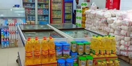 شعبة المستوردين: الحكومة تعمل وفق خطة إستراتيجية محكمة لتأمين السلع - هرم مصر