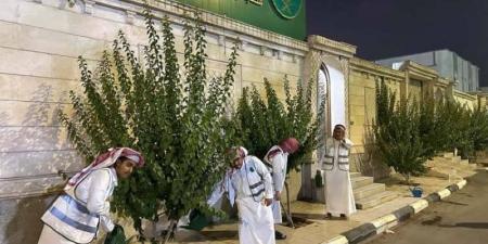 مكتب بيئة الخرمة يعزز الاستدامة الخضراء - هرم مصر
