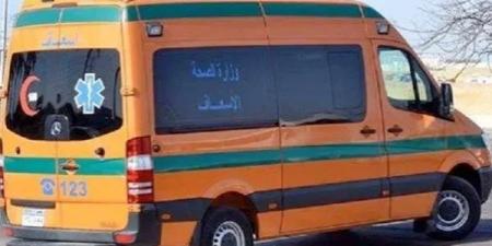 وفاة شاب وإصابة شقيقته الطفلة في انقلاب «تروسيكل» بسوهاج - هرم مصر