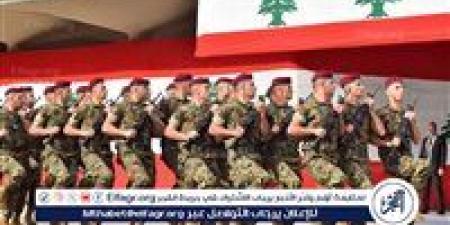 الجيش اللبناني يعلن إحباط عملية تهريب أسلحة من سوريا - هرم مصر