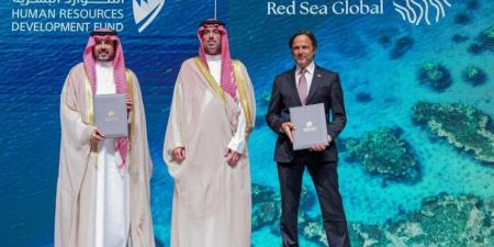 الموارد البشرية يوقّع الاتفاقية الثالثة مع شركة البحر الأحمر لتدريب وتوظيف 1000 شاب وشابة - هرم مصر