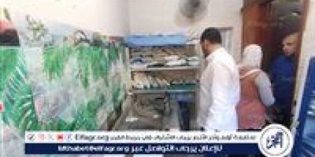 صحة الدقهلية: العلاج الحر يوصي بغلق 28 منشأة مخالفة وإنذار 6 أخرى بمدينة الكردى - هرم مصر