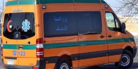 مصرع أمين شرطة دهسا أثناء استيقافه سائقا فى القليوبية.. ما القصة ؟ - هرم مصر