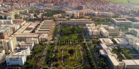 جامعة المنصورة تعتمد الهوية البصرية الموحدة بشعار "بالعلم نبني أمة وبالإبداع نصنع المستقبل" - هرم مصر