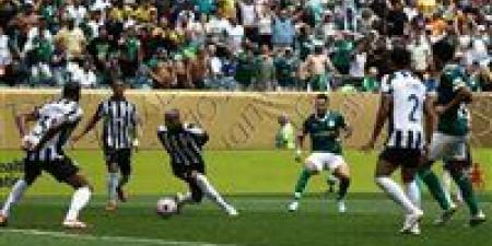 بالميراس يبلغ ربع نهائي كأس العالم للأندية بهزيمة بوتافوغو - هرم مصر