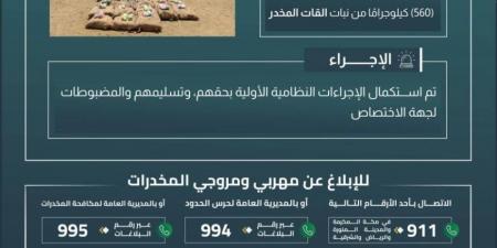 حرس الحدود بجازان يقبض على (4) مخالفين لتهريبهم (560) كيلوجرامًا من القات المخدر - هرم مصر