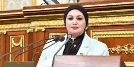 وكيل قوى النواب لـ«النهار»: قانون العمالة المنزلية ضرورة تشريعية.. ونتوقع تقديمه من الحكومة خلال أيام| حوار - هرم مصر