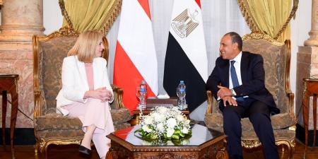 تعاون مصري نمساوي لمواجهة الهجرة غير الشرعية وتوفير فرص للعمالة الماهرة - هرم مصر