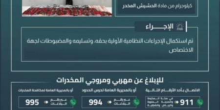 حرس الحدود بجازان يقبض على مخالف لتهريبه (165.5) كيلوجرامًا من الحشيش المخدر - هرم مصر