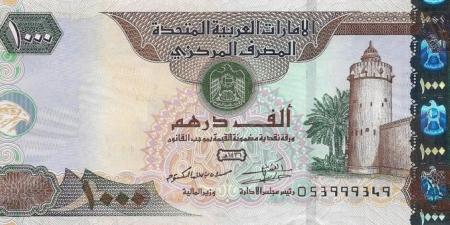 سعر الدرهم الإماراتي مقابل الجنيه المصري اليوم السبت 28 يونيو 2025 - هرم مصر