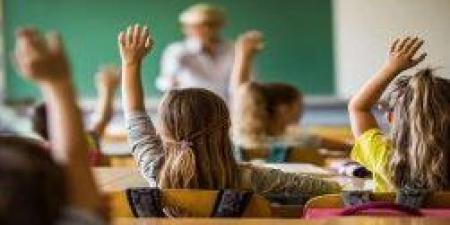 خبير تربوي: تحول ملحوظ في ثقافة المجتمع تجاه التعليم بعد الإعدادية - هرم مصر