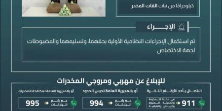 حرس الحدود بعسير يقبض على مخالفين لنظام أمن الحدود لتهريبهما 40 كيلوجرامًا من نبات القات المخدر - هرم مصر