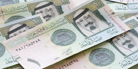سعر الريال السعودي مقابل الجنيه اليوم الأحد 29 يونيو - هرم مصر
