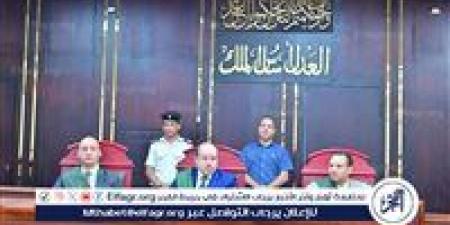 جنايات الأقصر تقضى بإحالة عامل إلى المفتي لاختطافه واعتدائه على طفلة 4 سنوات - هرم مصر