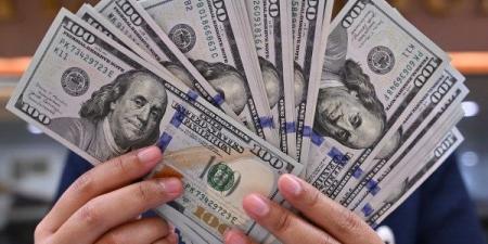 سعر الدولار رسميا مقابل الجنيه في مصر اليوم الإثنين - هرم مصر