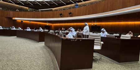 «البلدي» يوافق على تخصيص مسارات خطوط هوائية لربط «الشقايا» مع «الوفرة» - هرم مصر