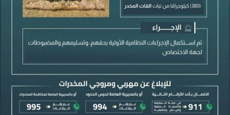 حرس الحدود بجازان يقبض على 12 مخالفًا لنظام أمن الحدود لتهريبهم 380 كيلوجرامًا من نبات القات المخدر - هرم مصر