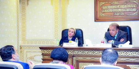 وزيرة البيئة تستعرض أمام لجنة الشئون الأفريقية بالنواب جهود مصر للتصدي لآثار تغير المناخ - هرم مصر
