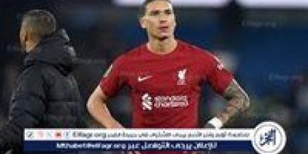 كلوب تجاهل توصية البيانات واختار نونيز بدلًا من إيزاك.. إدارة ليفربول تكشف الكواليس - هرم مصر