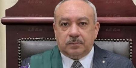 زور عقد سيارة لبيعها وسرقة ثمنها بالمعصرة.. حكم رادع من جنايات القاهرة - هرم مصر