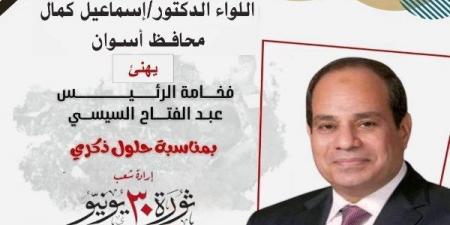 محافظ أسوان يهنئ الرئيس السيسى بالذكرى الثانية عشرة لثورة 30 يونيو - هرم مصر