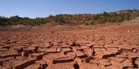 شح المياه وتغيّر المناخ يهددان الزراعة والأمن الغذائي في العراق - هرم مصر