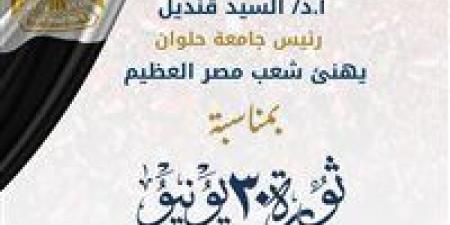 قنديل يهنئ السيسي والمصريين بذكرى ثورة 30 يونيو - هرم مصر