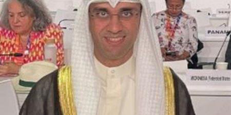 الكويت تؤكد التزامها التاريخي بتمويل التنمية وتعزيز التعاون الدولي - هرم مصر