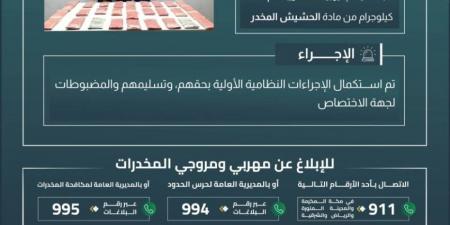 القبض على (3) مخالفين بجازان لتهريبهم (31.5) كيلوجرامًا من الحشيش المخدر - هرم مصر