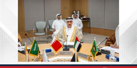 شؤون الجنسية والجوازات والإقامة تشارك في الاجتماع الـ39 للمديرين العامين للجوازات بدول مجلس التعاون الخليجي - هرم مصر