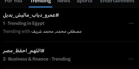 عمرو دياب يتصدر تريند يوتيوب و"x” بأغنيتيه "خطفوني" و"مليش بديل" - هرم مصر
