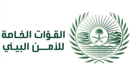 ضبط (7) مقيمين مخالفين لنظام البيئة لاستغلالهم الرواسب في المنطقة الشرقية - هرم مصر