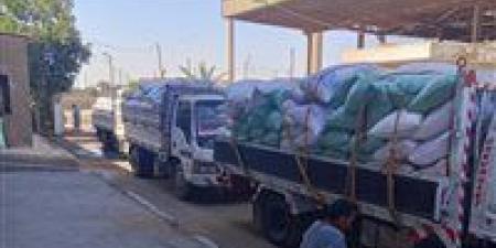 محافظة بني سويف: توريد 282 ألف طن قمح للشون والصوامع - هرم مصر