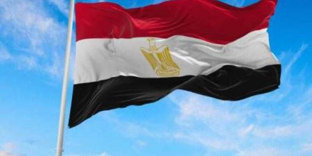مصر تجدد دعمها لاستقرار الصومال خلال مشاركتها في الاجتماع الوزاري الافتراضي لمجلس السلم والأمن التابع للاتحاد الإفريقي - هرم مصر