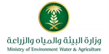 مكاتب البيئة بمنطقة مكة المكرمة تواصل تنفيذ مبادرات سقيا المزروعات - هرم مصر