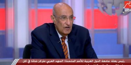 دبلوماسي: الجهد العربي المجمع حقق نتائج إيجابية لصالح القضية الفلسطينية - هرم مصر