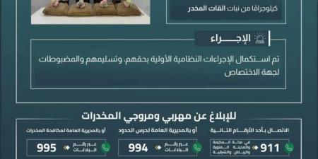 حرس الحدود بعسير يقبض على (4) مخالفين لتهريبهم (72) كيلوجرامًا من القات المخدر - هرم مصر