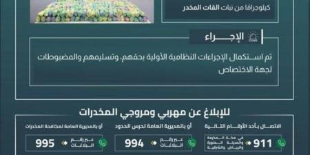 حرس الحدود بجازان يقبض على (3) مخالفين لتهريبهم (140) كيلوجرامًا من القات المخدر - هرم مصر