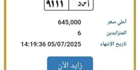اقتربت من مليون جنيه.. مزايدة نارية على لوحة سيارة مميزة - هرم مصر