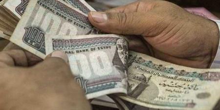 2949 فرصة عمل جديدة بالقطاع الخاص في 10 محافظات.. منها لذوي الهمم - هرم مصر