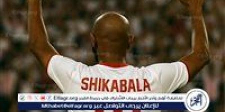 مدرب الزمالك السابق: شيكابالا لديه عقلية انتصاريه وأي مدرب يتمنى تدريبه - هرم مصر