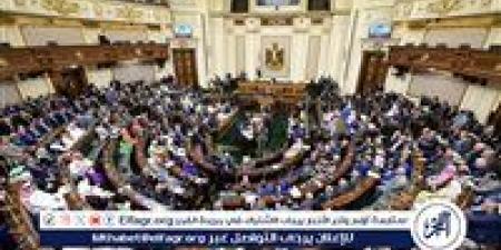 "النواب" يوافق على صرف حافز مناطق نائية من 200% لـ 600% لأعضاء المهن الطبية - هرم مصر