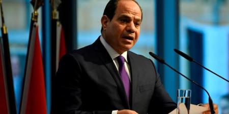 الرئيس السيسي زيارة رئيس الصومال لمصر تجسد عمق الروابط الأخوية بين البلدين - هرم مصر