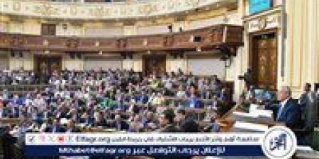مجلس النواب يؤجل الموافقة النهائية على تعديل قانون المهن الطبية - هرم مصر