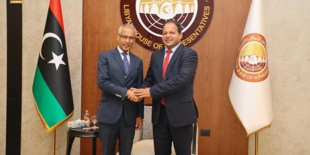 ملفات أمنية وحقوقية في لقاء نائب لجنة الشؤون الداخلية النيابية مع السفير الفرنسي في بنغازي - هرم مصر