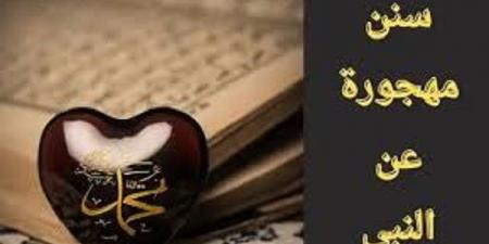 الشرب قاعدًا على ثلاثة أنفاس ..سنة منسية من هدي النبي ﷺ #سنة_منسية #الشرب_قاعدا #هدي_النبي #آداب_الطعام #الشرب_قائما #حديث_زمزم #سنن_مهجورة #اقتدوا_بالنبي #السنة_النبوية - هرم مصر
