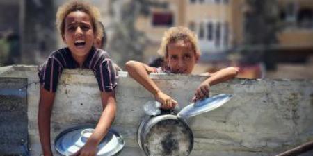 الأمم المتحدة: انهيار شامل لمنظومة الغذاء فى غزة - هرم مصر
