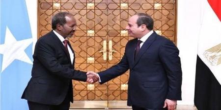 الرئيس الصومالي لـ السيسي: نقدر موقف مصر الداعم لبلادنا - هرم مصر